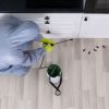 شركة مكافحة بق الفراش بالرياض